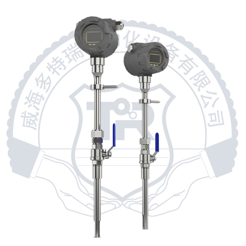 插入式熱式氣體質(zhì)量流量計(jì)