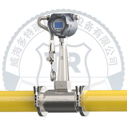 渦街流量計(jì)-卡箍連接