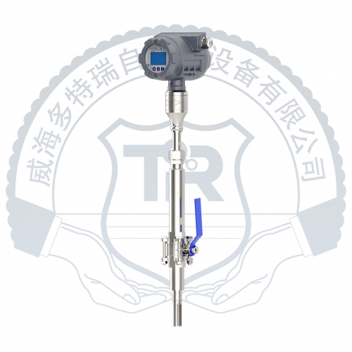 三代熱式氣體質(zhì)量流量計(jì)-插入式