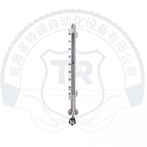 DTRM700F 磁翻板液位計
